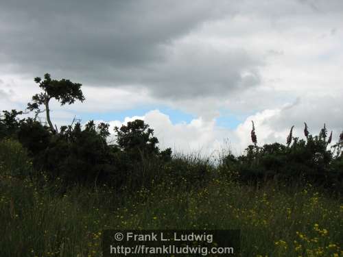 Around Lough Nasool